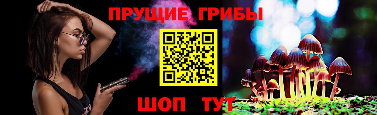 Галлюциногенные грибы Psilocybine cubensis  Вход с VPN  Псилоцибиновые грибы мицелий  Керчь 